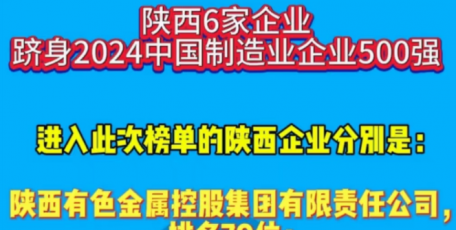 陕西6家企业跻身2024中国制造业企业500强