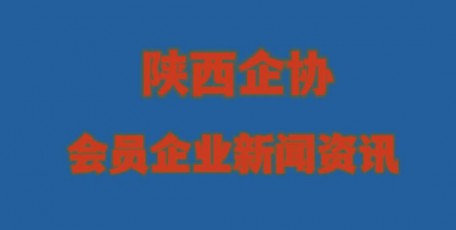 陕西省天然气股份有限公司召开安（消）委会暨防汛安全生产专题会 安排部署近期安全生产重点工作