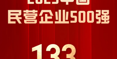 泰丰盛合控股集团连续四年入围中国民营企业500强榜单，跃居第133位！
