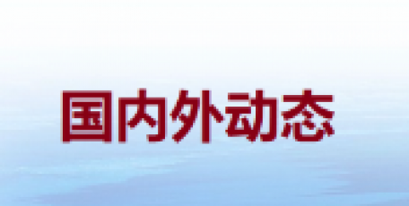 2025年国内居民出游人次超65亿