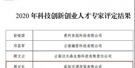 泾渭茯茶总经理周兴长被评为“全国工商联2020科技创新创业人才”