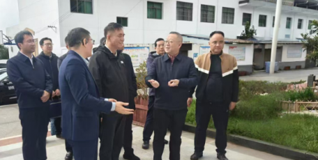 王青峰调研蓝田县秦家寨村千村万户“光伏+”乡村振兴示范项目