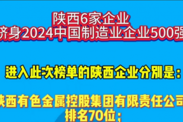 陕西6家企业跻身2024中国制造业...